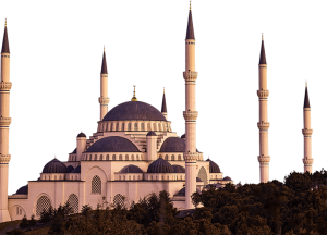 Featured Image